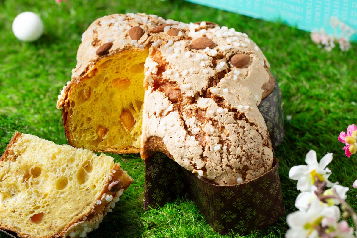 Il Gruppo Da Vittorio in Perù insieme a Comaschi lungo la “ruta del cacao”